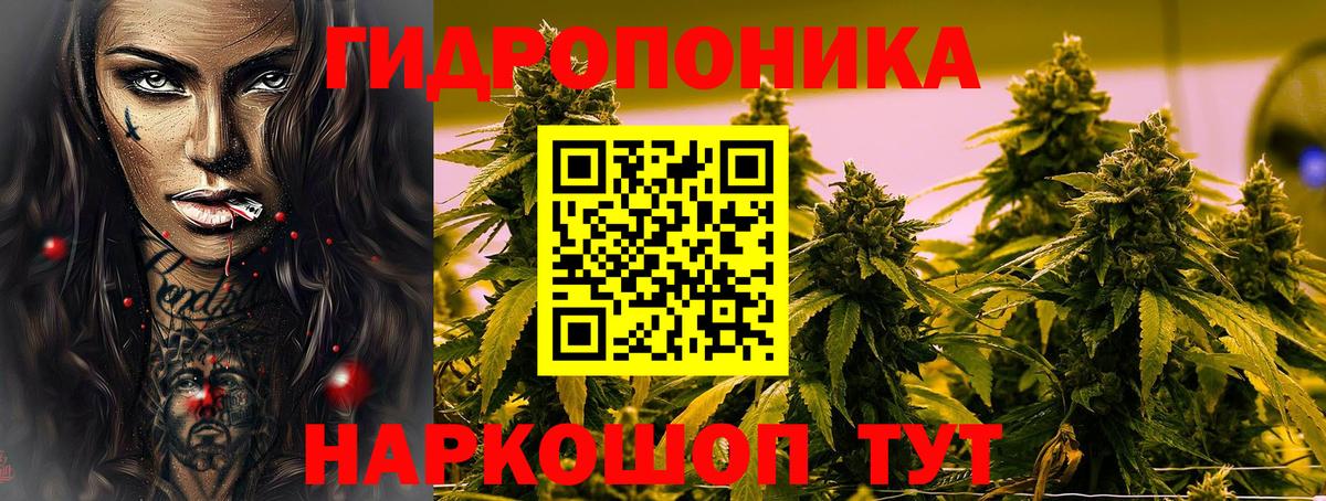 МАРИХУАНА MAZAR  Вход с VPN  Марихуана Bruce Banner  Псков  Марихуана SATIVA & INDICA  Каннабис план 